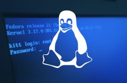 用caddy平替nginx-佩恩的博客